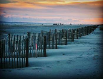 Sand fence at sunset