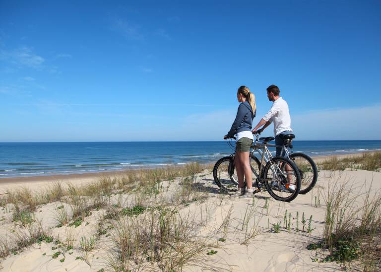 Holden Beach Bicycles